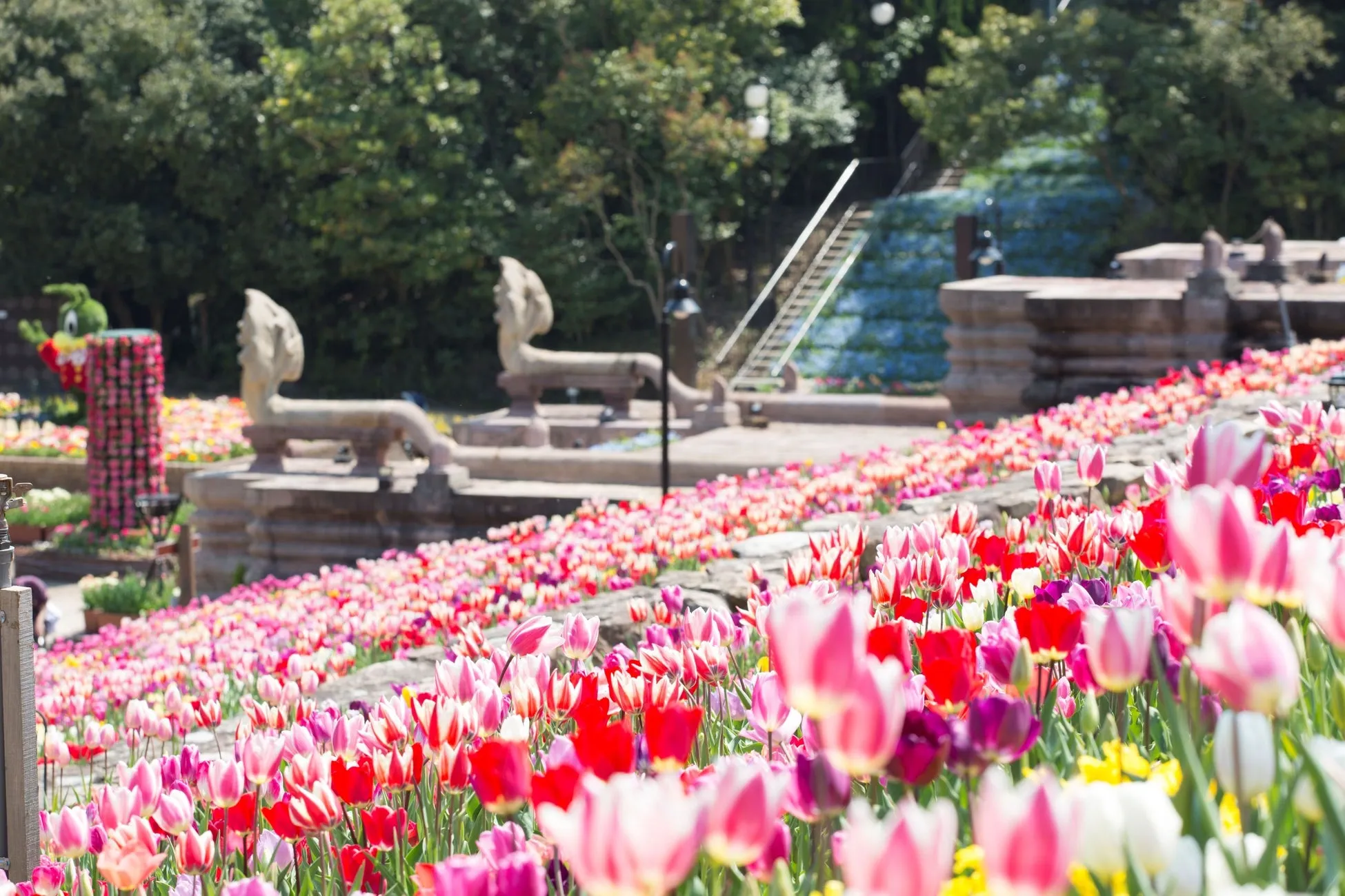 色とりどりのチューリップが咲き誇る庭園の風景
