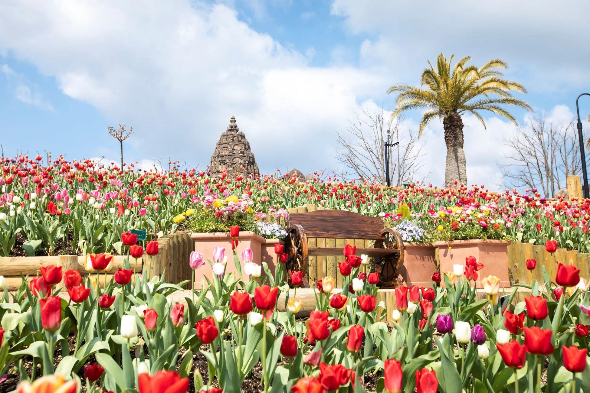色とりどりのチューリップが咲き誇る庭園の風景