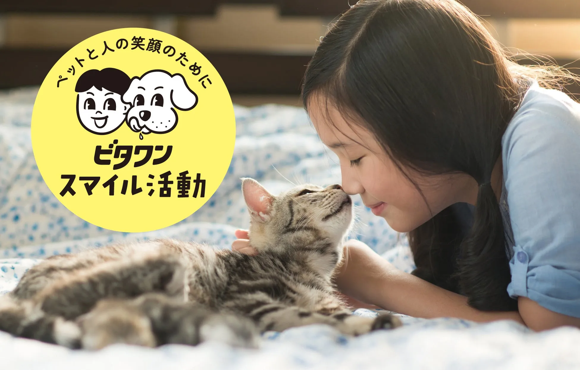 猫と少女の触れ合い