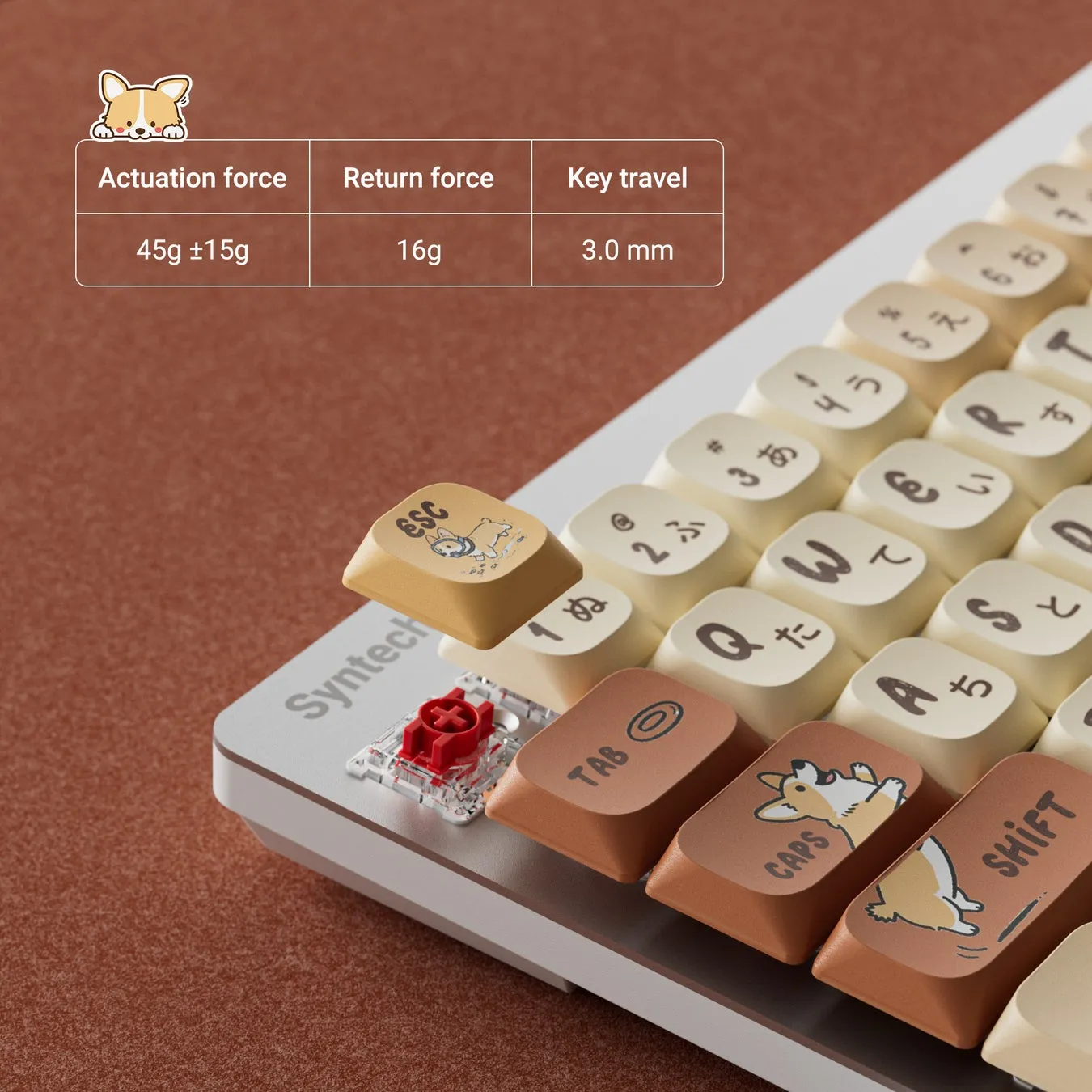 茶色と白のキーボードのクローズアップ。キーボードの仕様が表で表示されている。