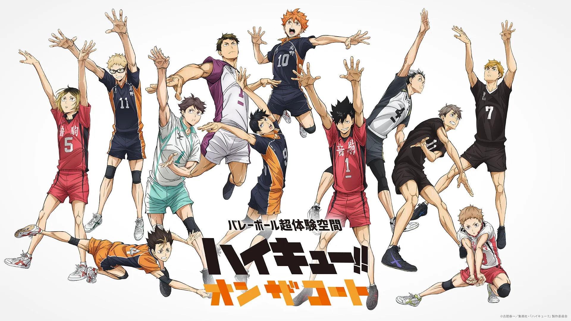 バレーボール超体験空間 ハイキュー!! オンザロール