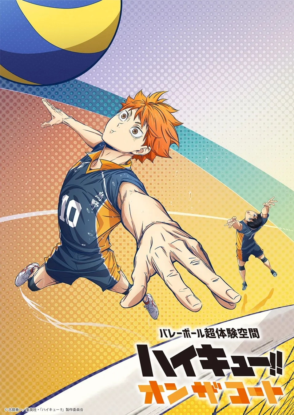 烏野 ハイキュー!! オンザコート