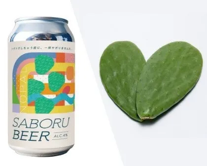 ビール缶とサボテンの葉の画像。