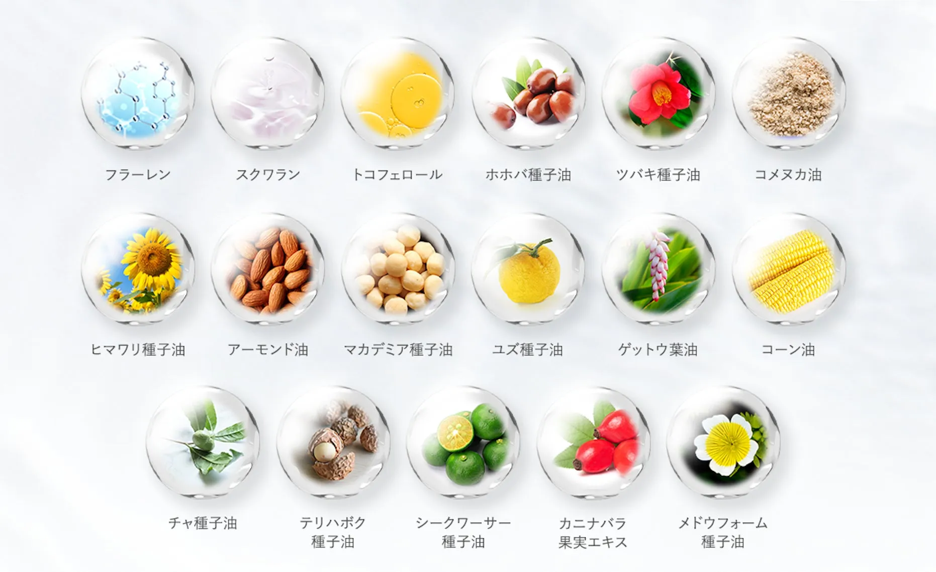 様々な植物油や成分を表現した画像