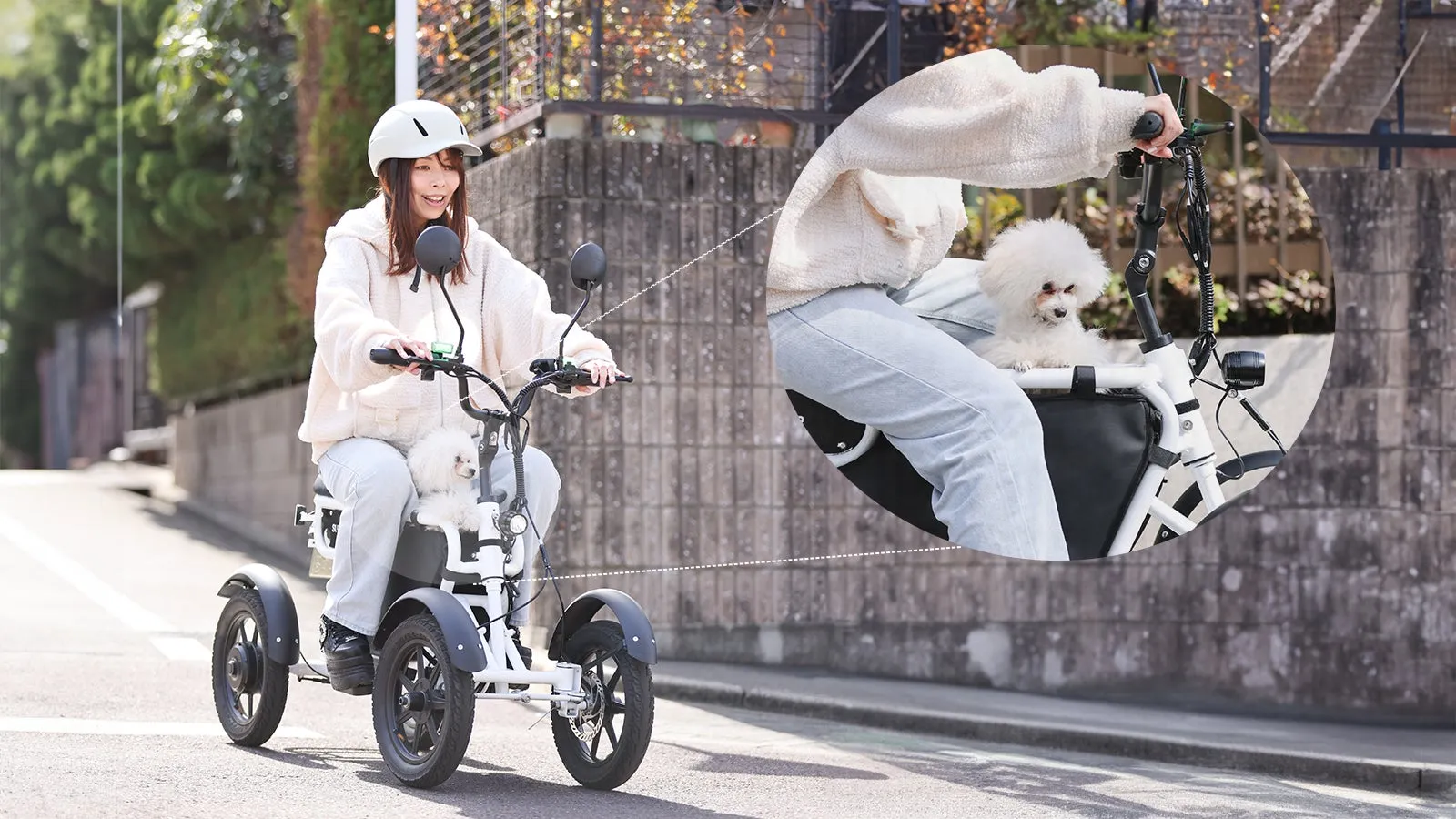 電動三輪バイクに乗って犬と散歩する女性