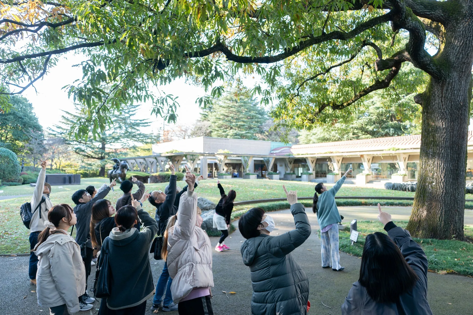 公園で、大勢の人が空を見上げて何かを指さしている様子を捉えた写真です。大きな木が前景にあり、その枝葉が上部を覆っています。人々は様々な服装をしており、カジュアルな装いの人が多いです。背景には建物や他の木々が見えます。