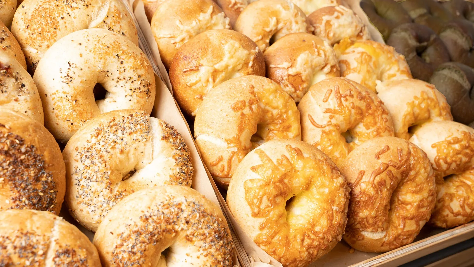 様々な種類のベーグル