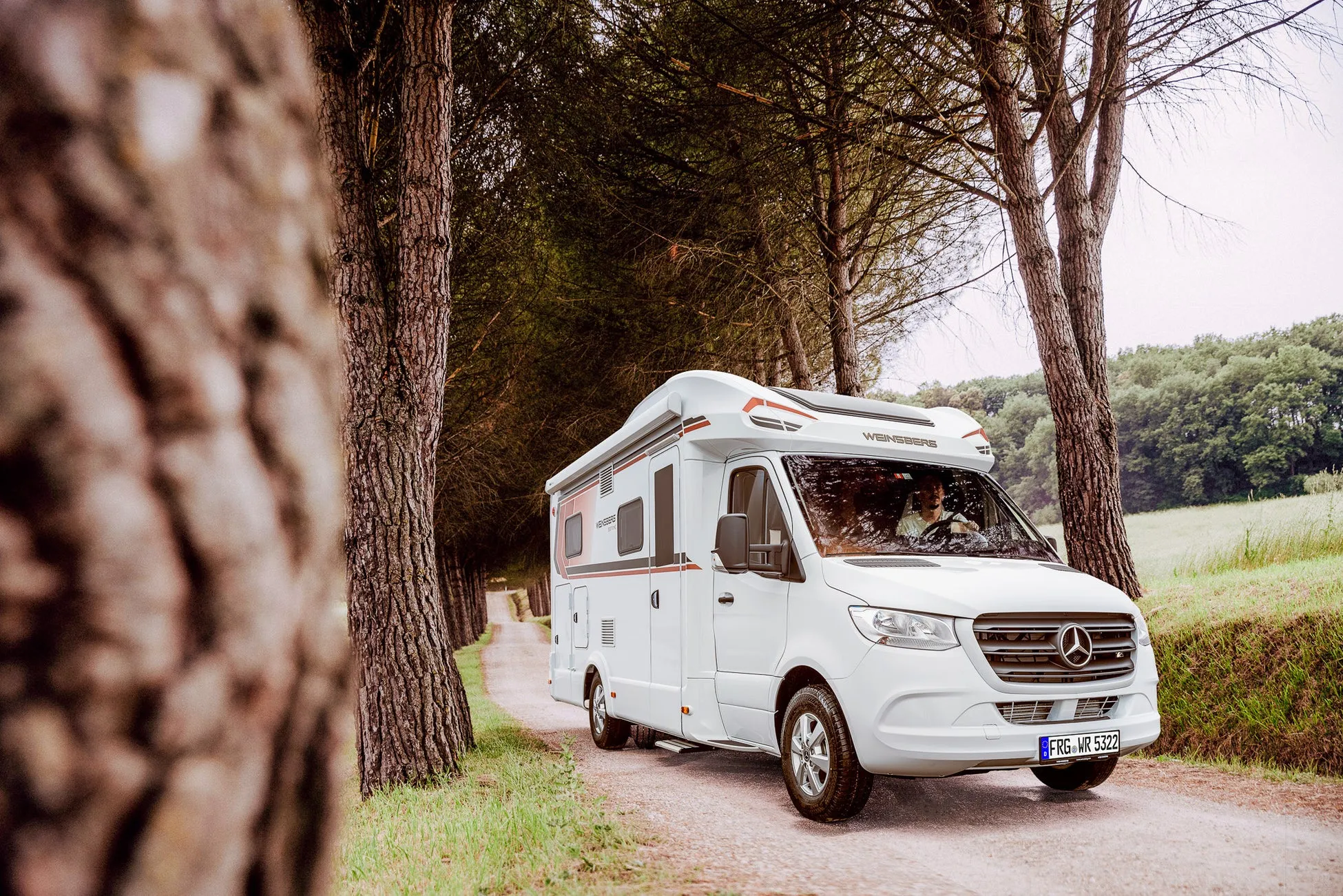 白いキャンピングカーが、両側に木が並ぶ砂利道を走る様子