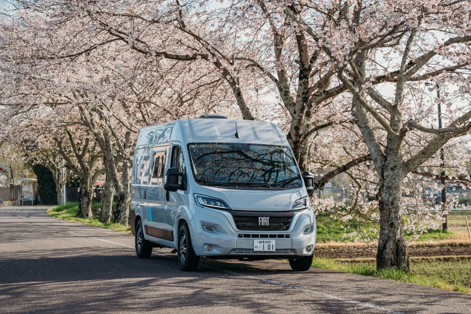 桜並木の下に停まっているライトグレーのキャンピングカー