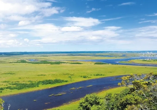 広い草原と川が流れる風景