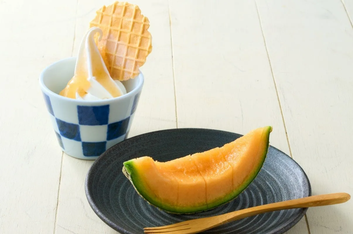 フレッシュ赤肉メロン＆ソフト