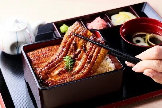 うなぎの蒲焼きが乗ったお弁当を箸でつまんでいる様子