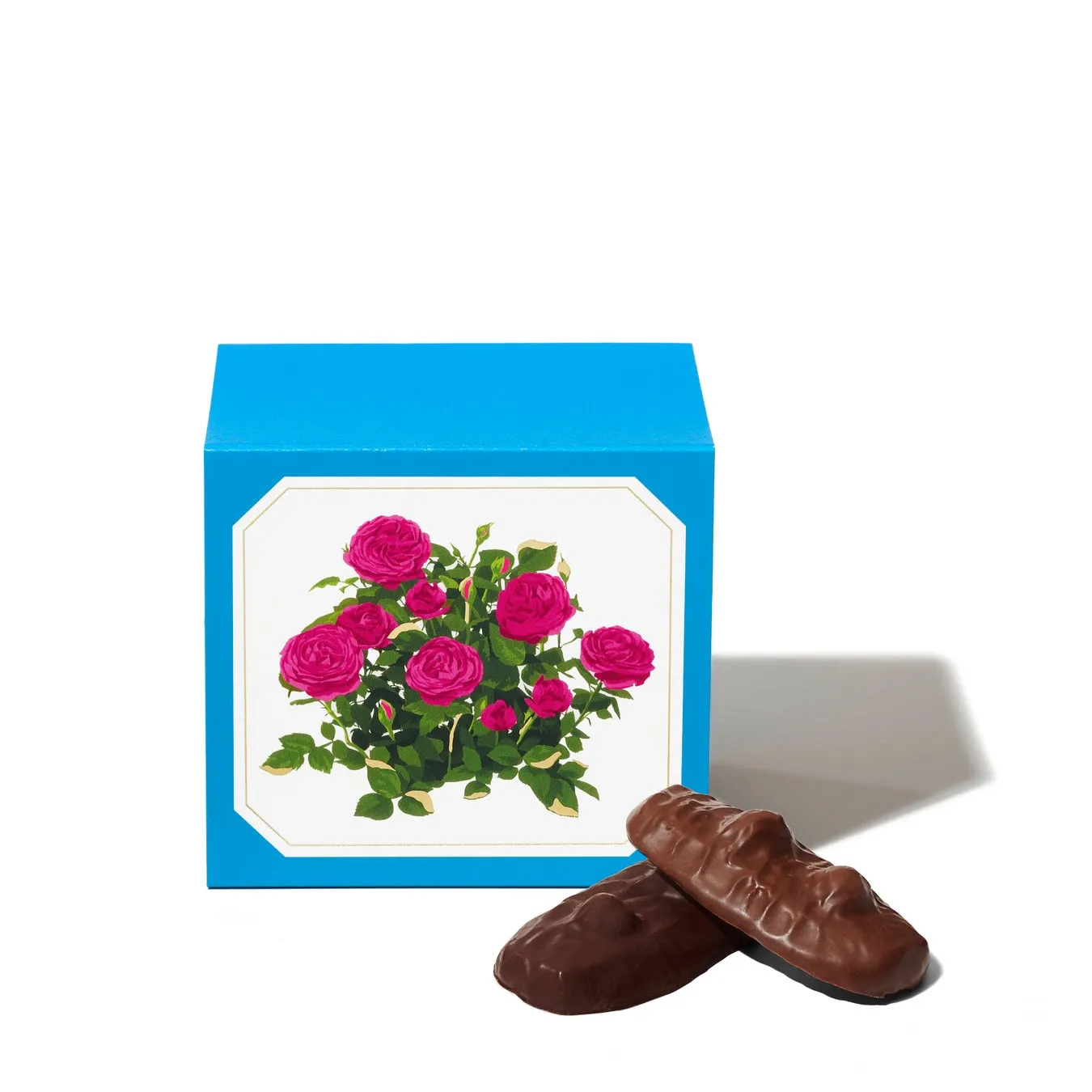 ショコラサブレ2枚入