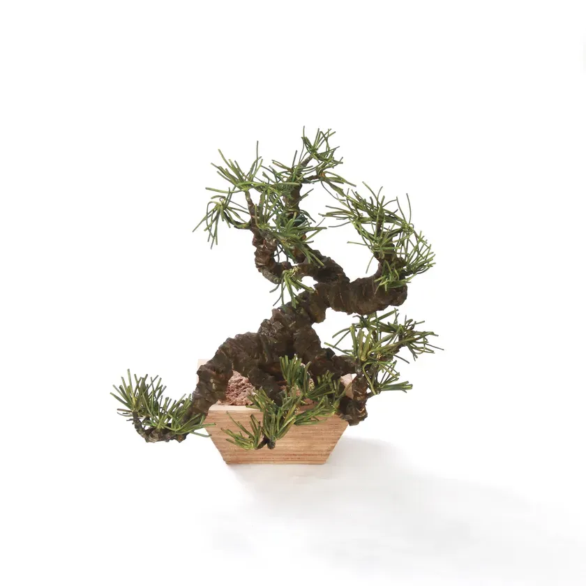 プロダクト部門 最優秀賞「革BONSAI」