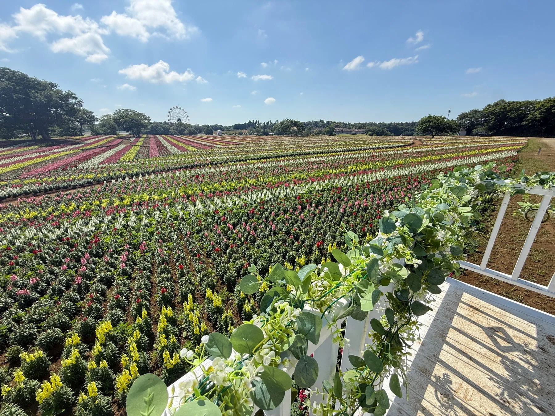 色とりどりの花が咲き誇る広大な花畑の風景。観覧車や木々も見える。
