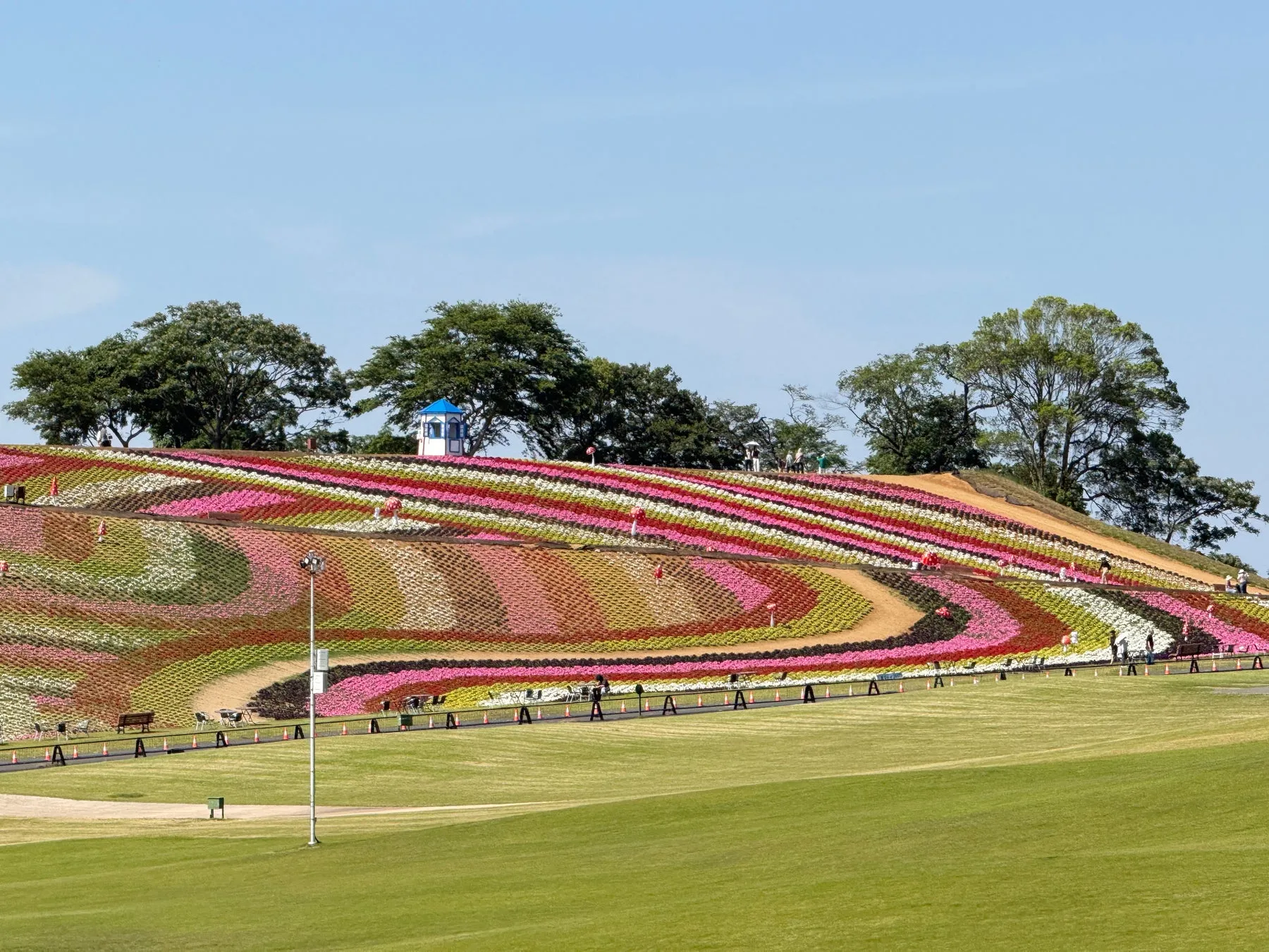 丘にカラフルな花が植えられた公園の写真