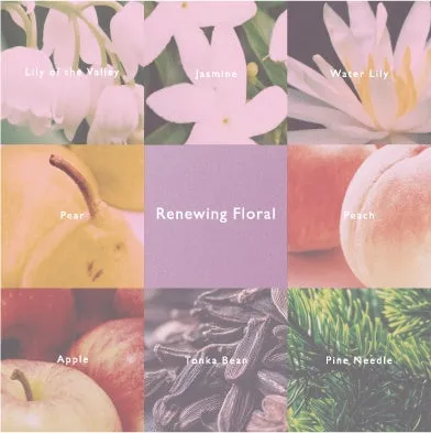 Lily of the Valley, Jasminė, Water Lily, Pear, Renewing Floral, Peach, Apple, Tonka Bean, Pine, Needle