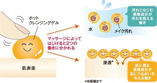ホットクレンジングジェルの働きを説明したイラスト。マッサージによって、汚れを抱える働きと、肌にうるおいを与える働きに分かれることが示されています。