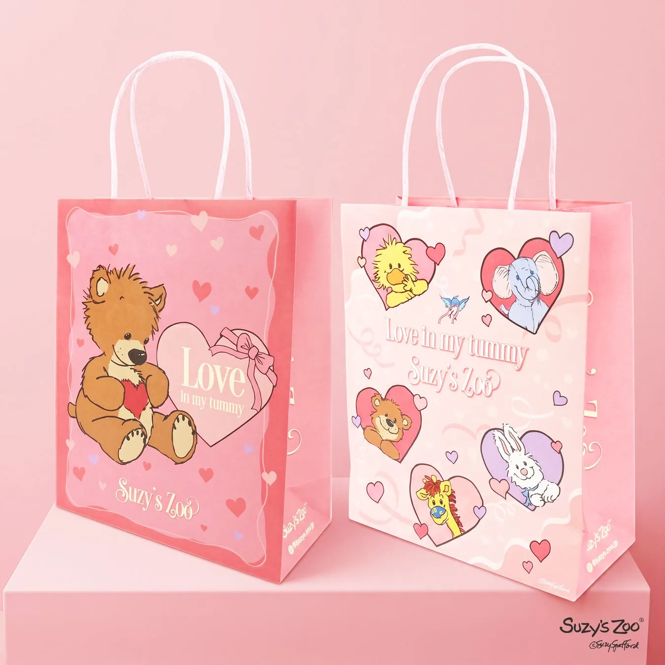 ショッピングバッグのイメージ