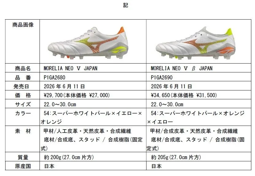 βモデルの全体像