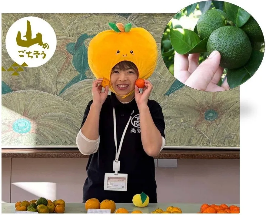 酢みかんのイメージ