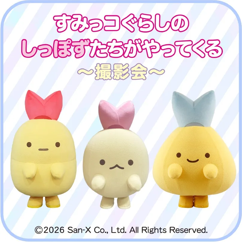 しっぽず撮影会イメージ