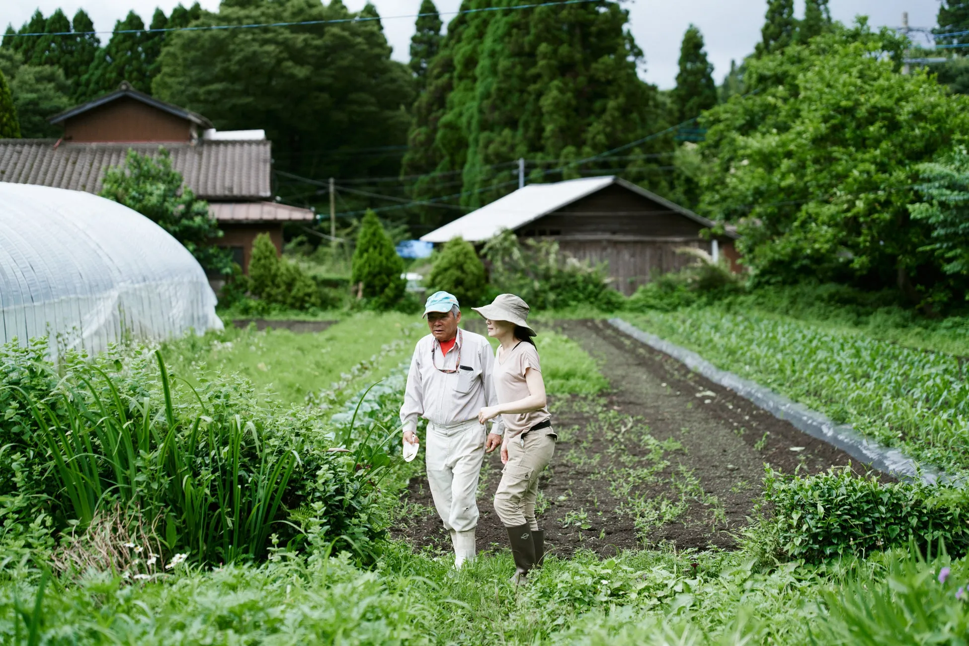 草原に置かれたカップ