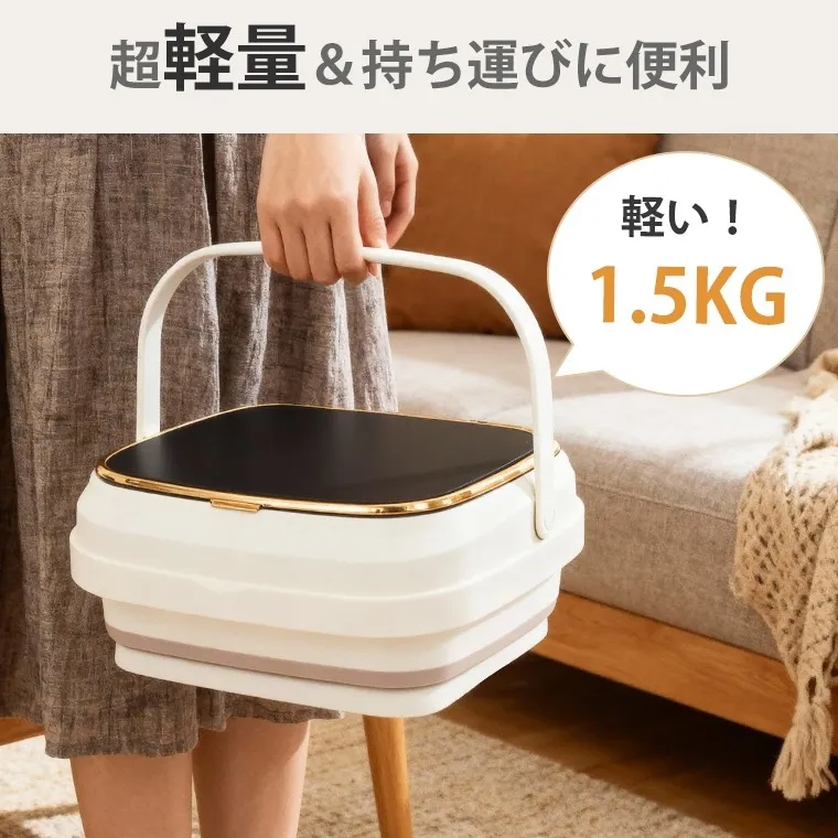 持ち運んでいる様子