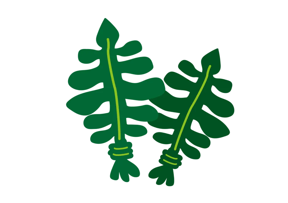 わかめのイラスト