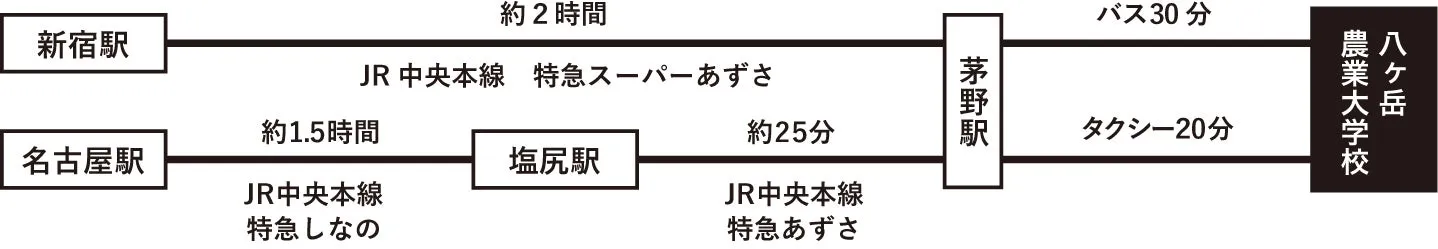アクセス情報