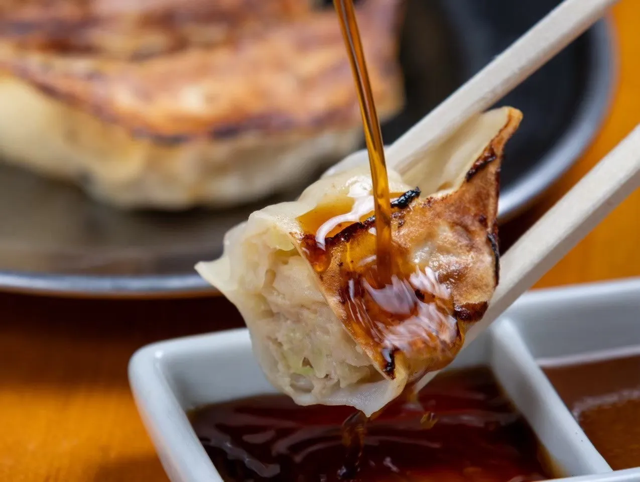 料理の提供イメージ