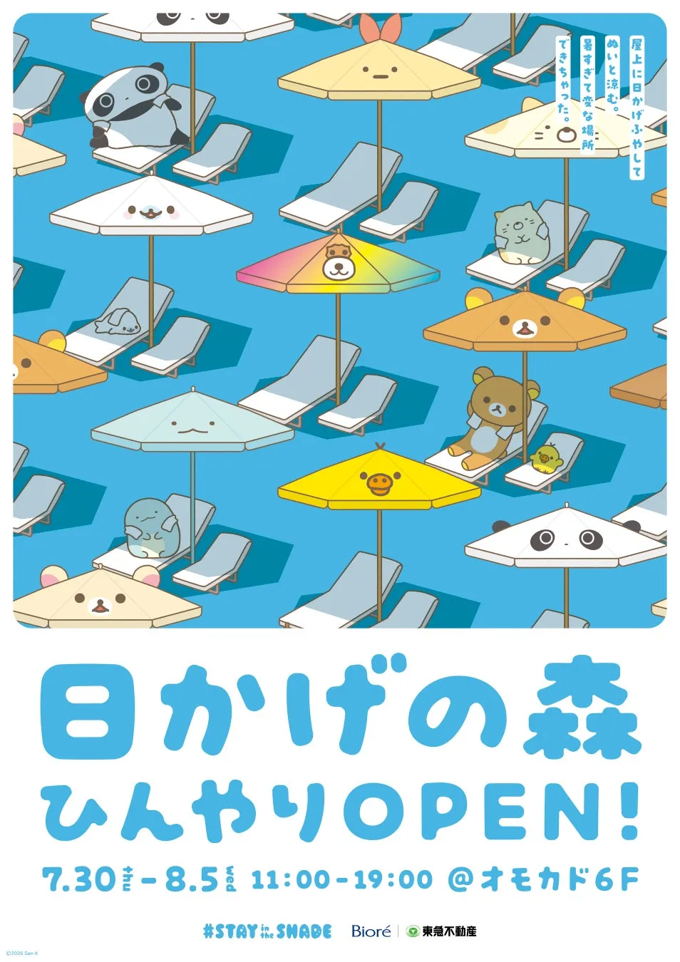 日かげの森の様子