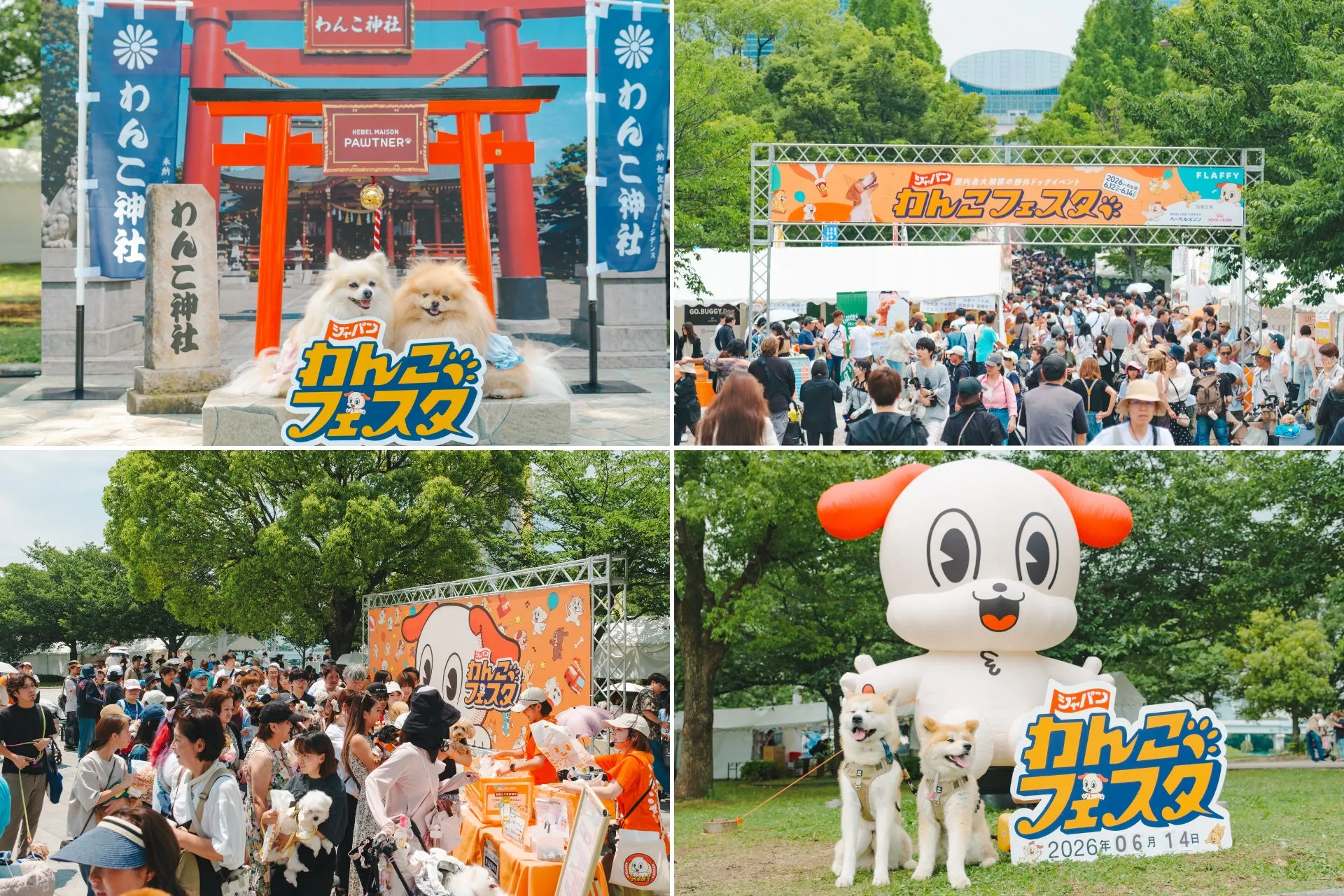 楽しいコンテンツ盛りだくさん