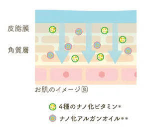 高密着シートとナノ化技術