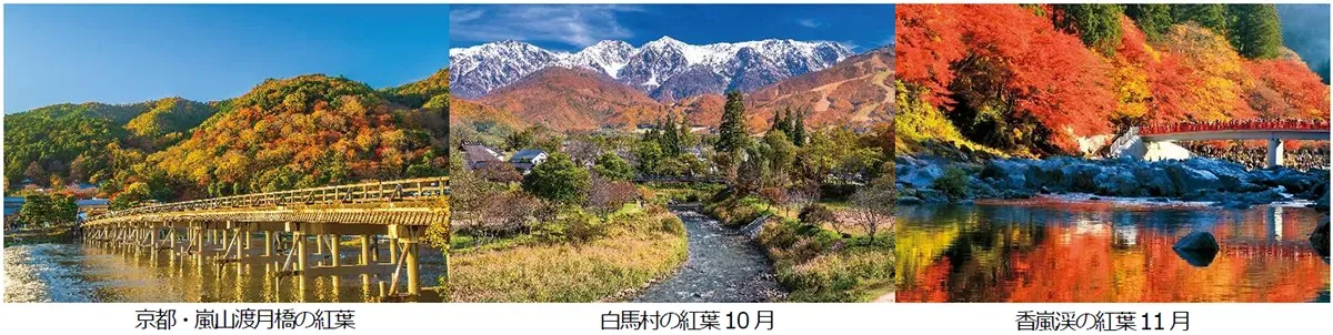【意外と知らない】JRで行く鉄道の旅〈秋〉ウェブ限定で叶える!紅葉・温泉+αの感動体験