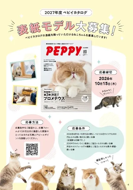 PEPPY CATSの表紙モデルになったプロメテウスちゃん