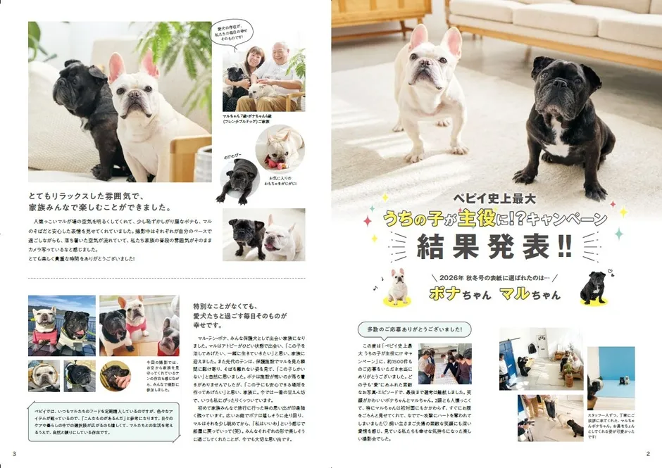 PEPPY DOGSの表紙モデルになったボナちゃんとマルちゃん