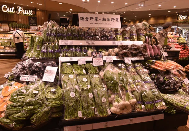 鎌倉野菜・湘南野菜 イメージ