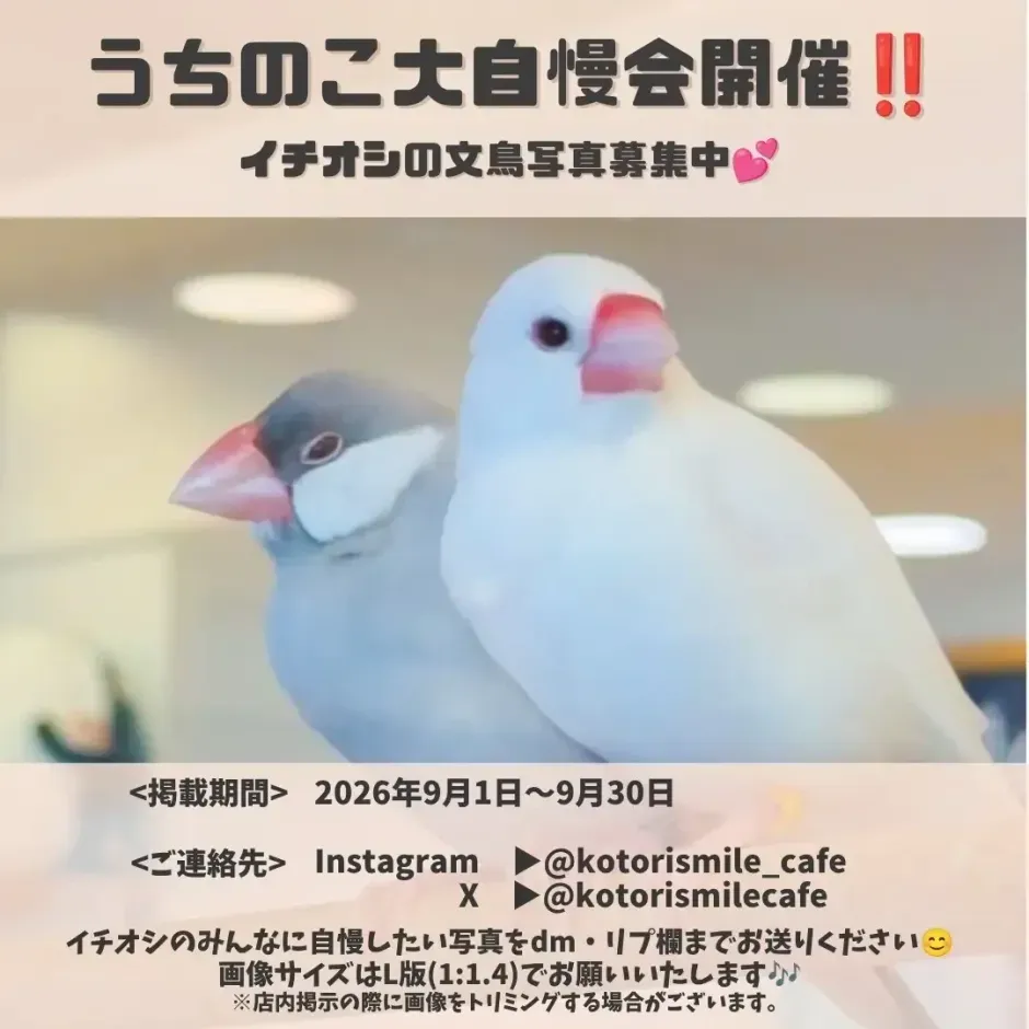コラボグッズ