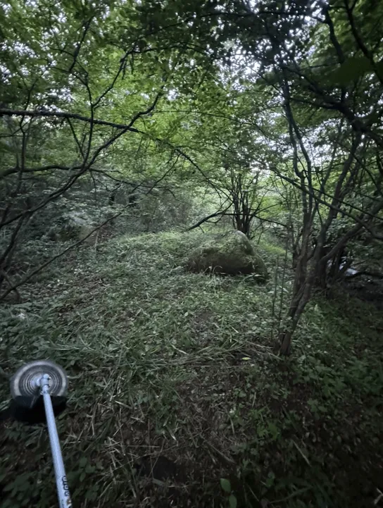 湧火の整地された場所の様子