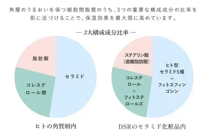 セラミド処方のイメージ図