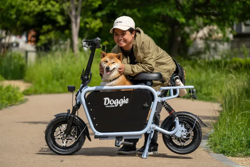 Doggie_Liteに乗る犬