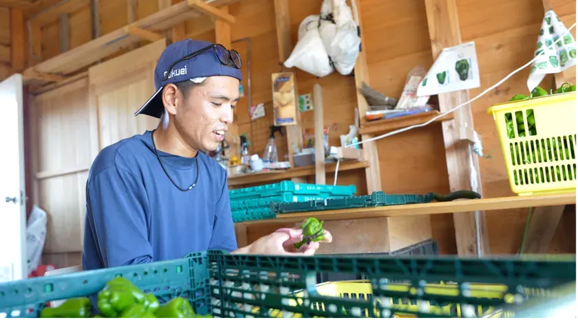 生産者が語るインタビュー風景を捉えた画像