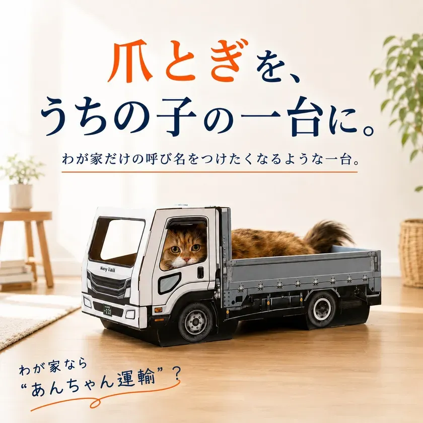 運転席から顔をのぞかせる猫
