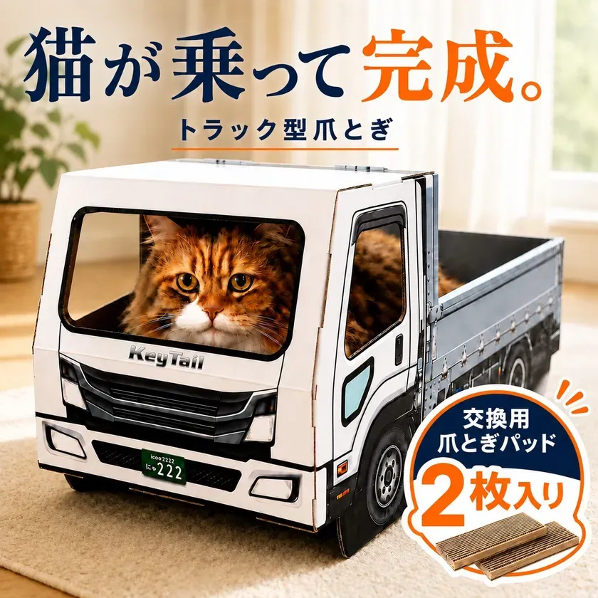 猫が乗って完成するトラック型爪とぎ