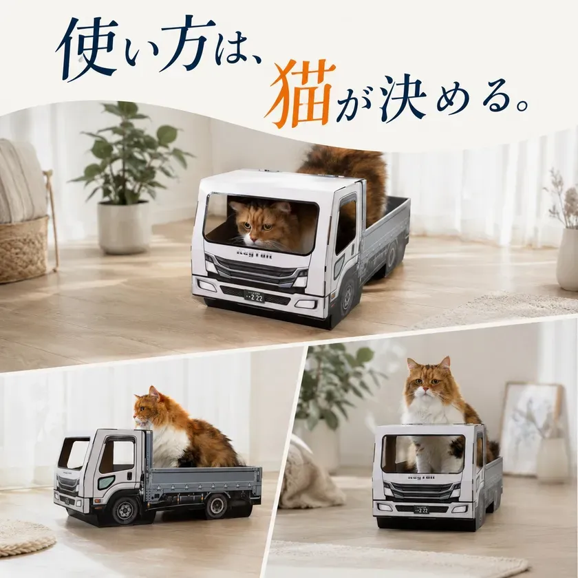 猫の様々な使い方