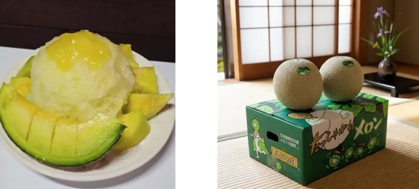 メロン「イバラキング」店頭販売