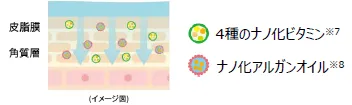 特徴③ ナノ化技術