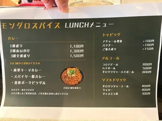 盛り付けられたスパイス料理