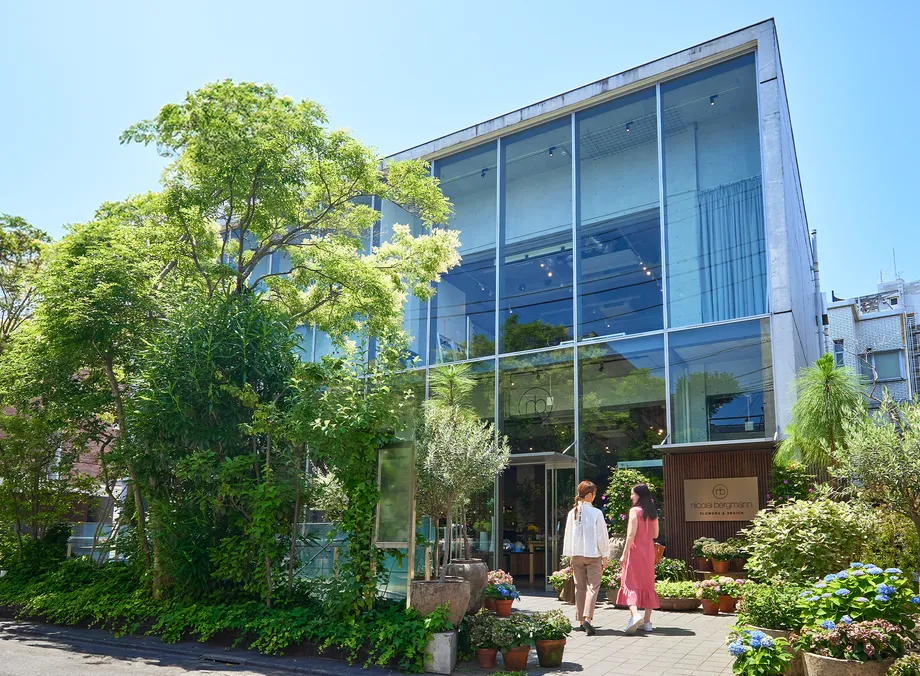 植栽に囲まれたガラス張りのニコライ バーグマンの店舗外観
